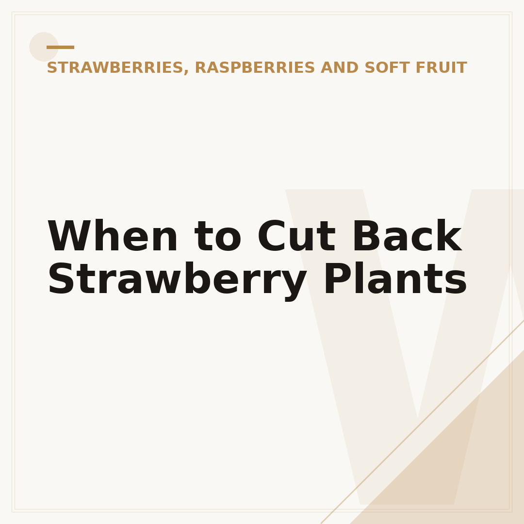 When to Cut Back Strawberry Plants