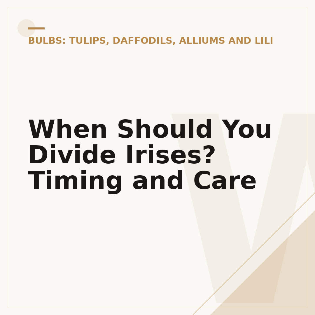 When Should You Divide Irises? Timing and Care