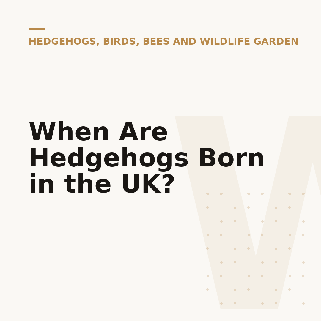 When Are Hedgehogs Born in the UK?