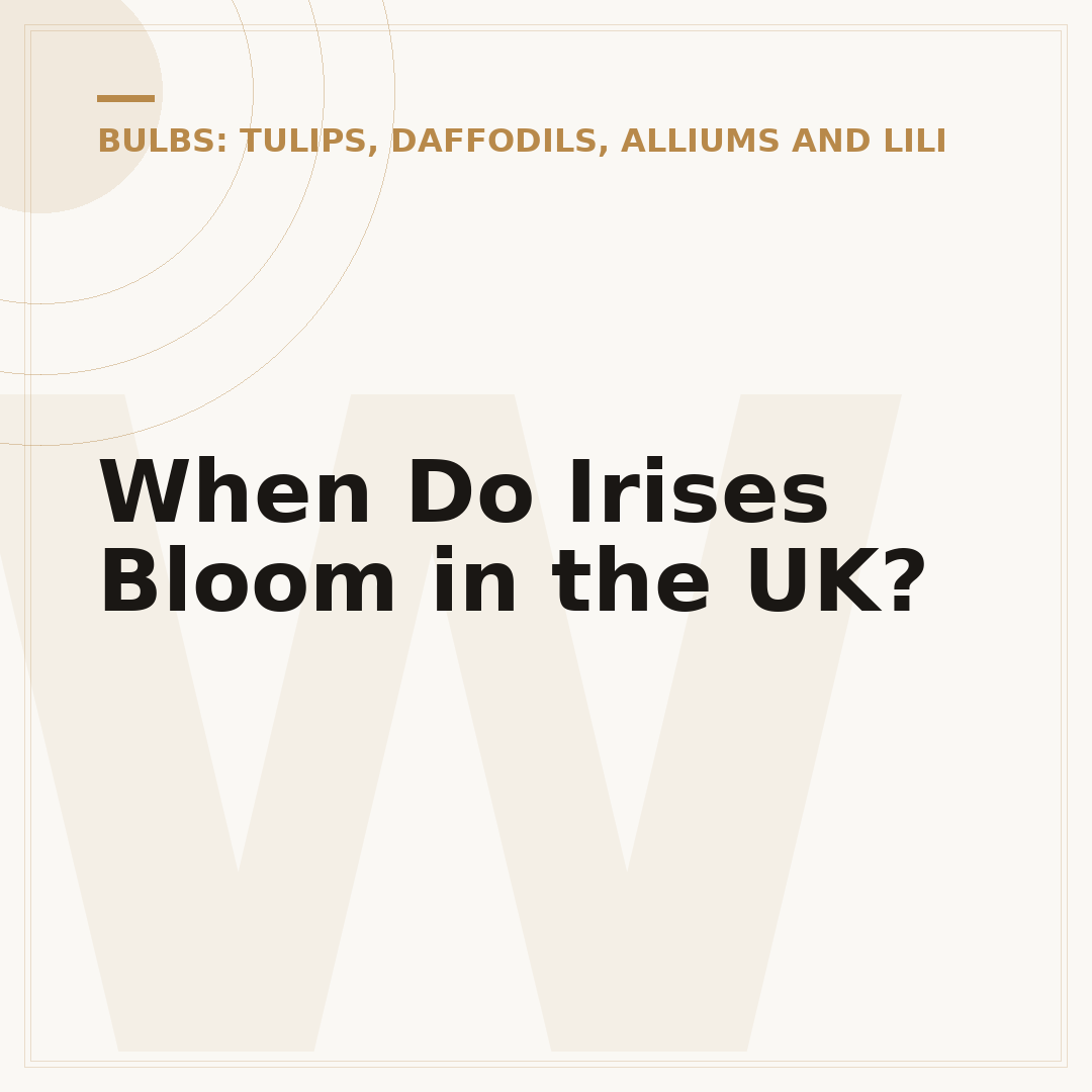 When Do Irises Bloom in the UK?