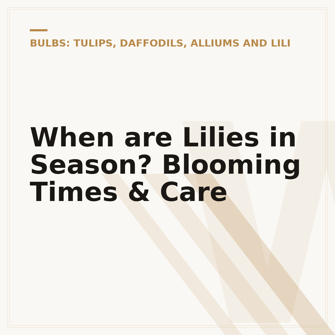 When are Lilies in Season? Blooming Times & Care