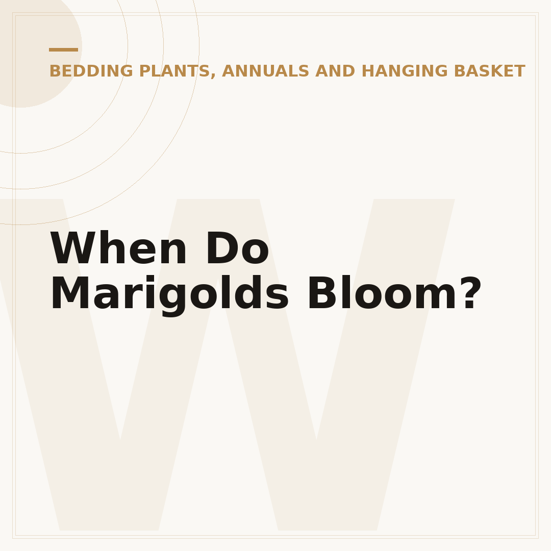 When Do Marigolds Bloom?