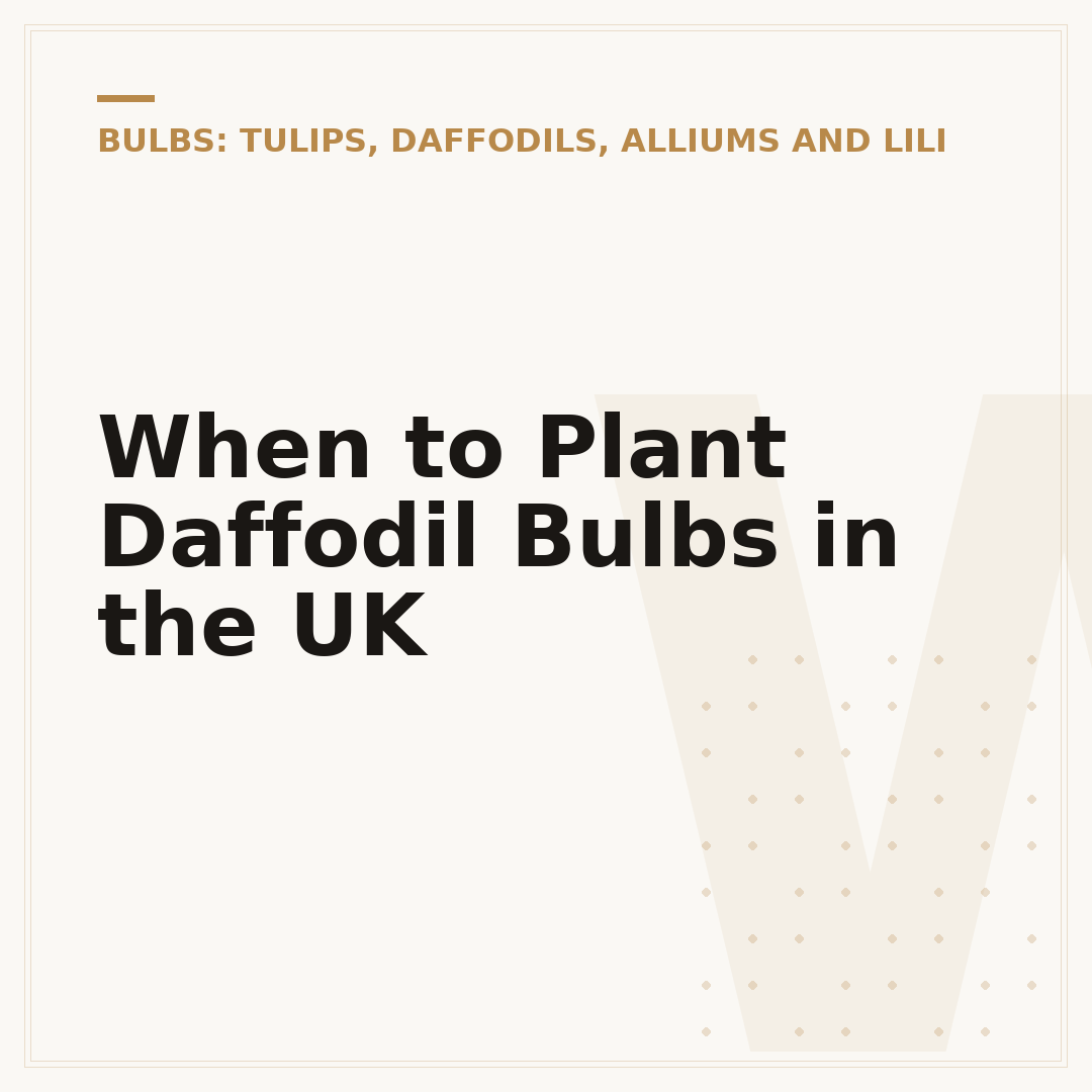 When to Plant Daffodil Bulbs in the UK