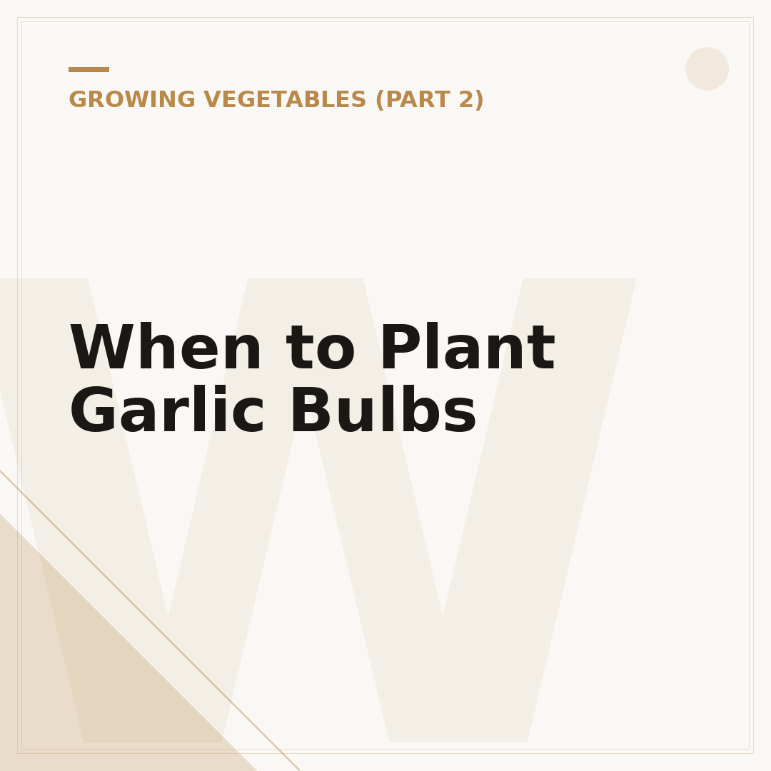 When to Plant Garlic Bulbs