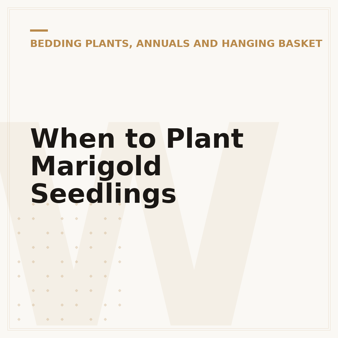 When to Plant Marigold Seedlings