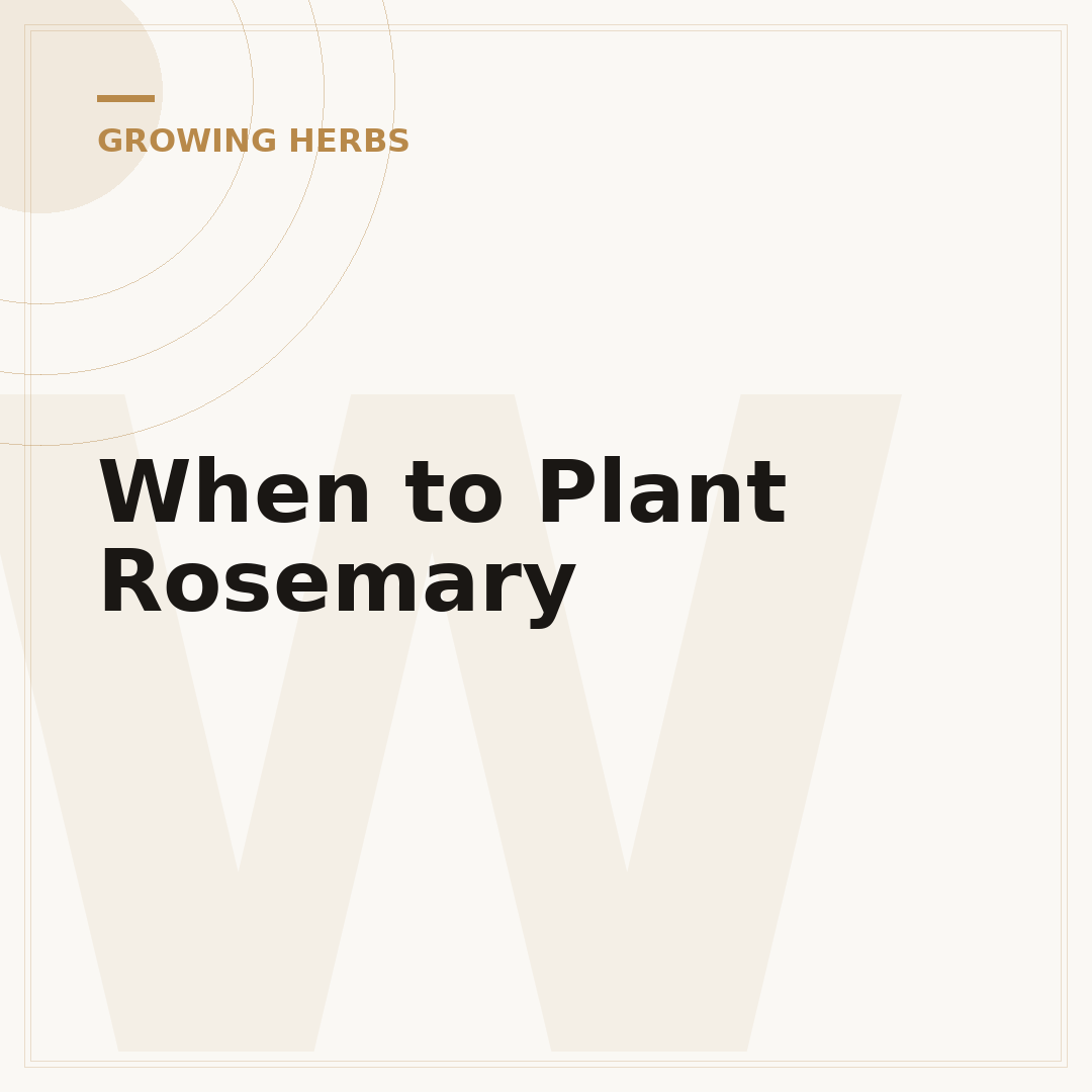 When to Plant Rosemary