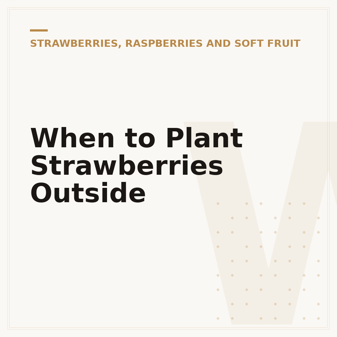 When to Plant Strawberries Outside