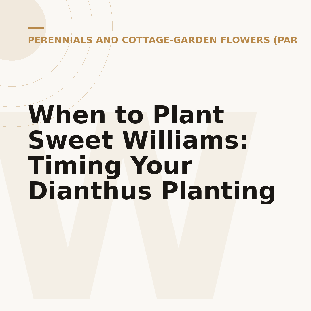 When to Plant Sweet Williams: Timing Your Dianthus Planting