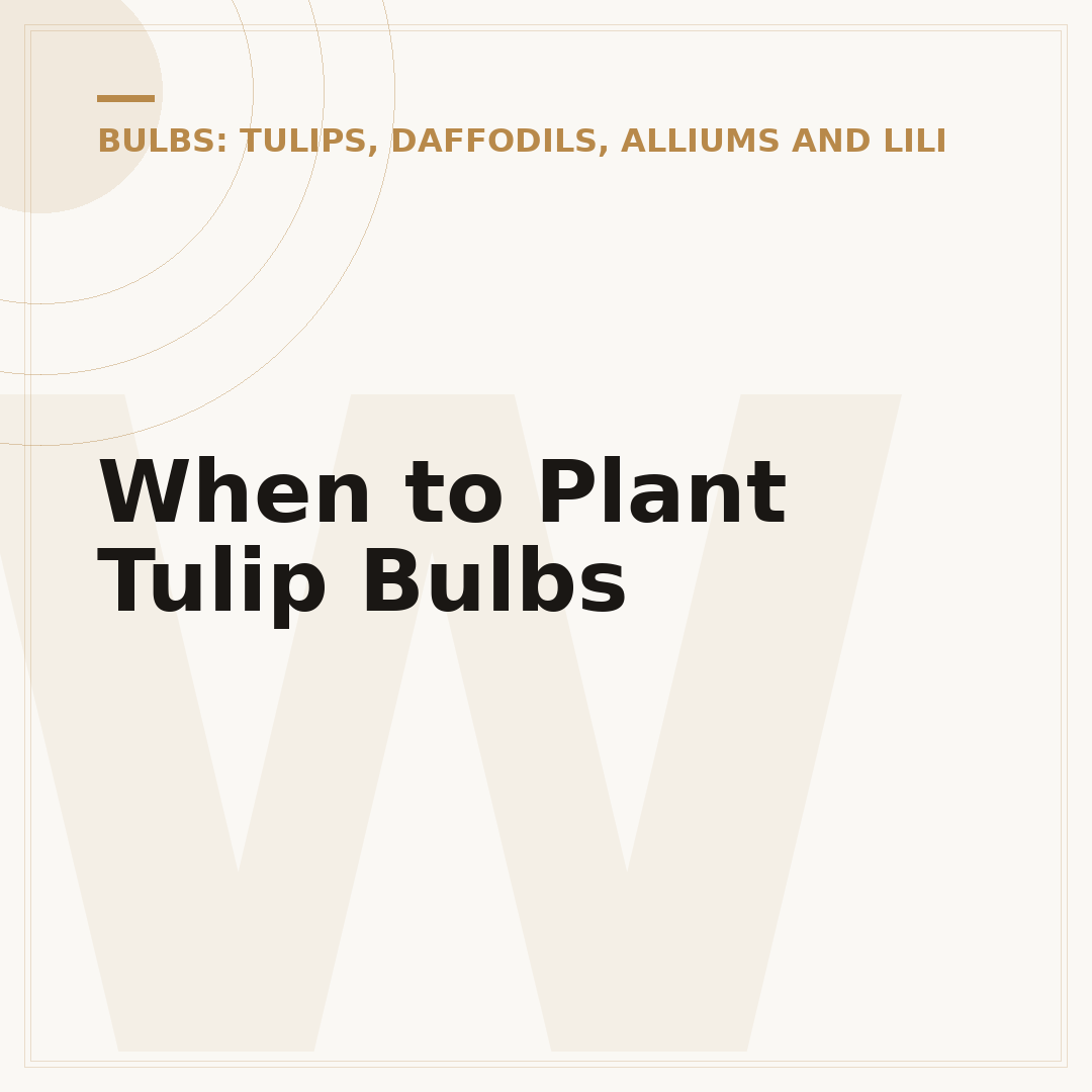 When to Plant Tulip Bulbs