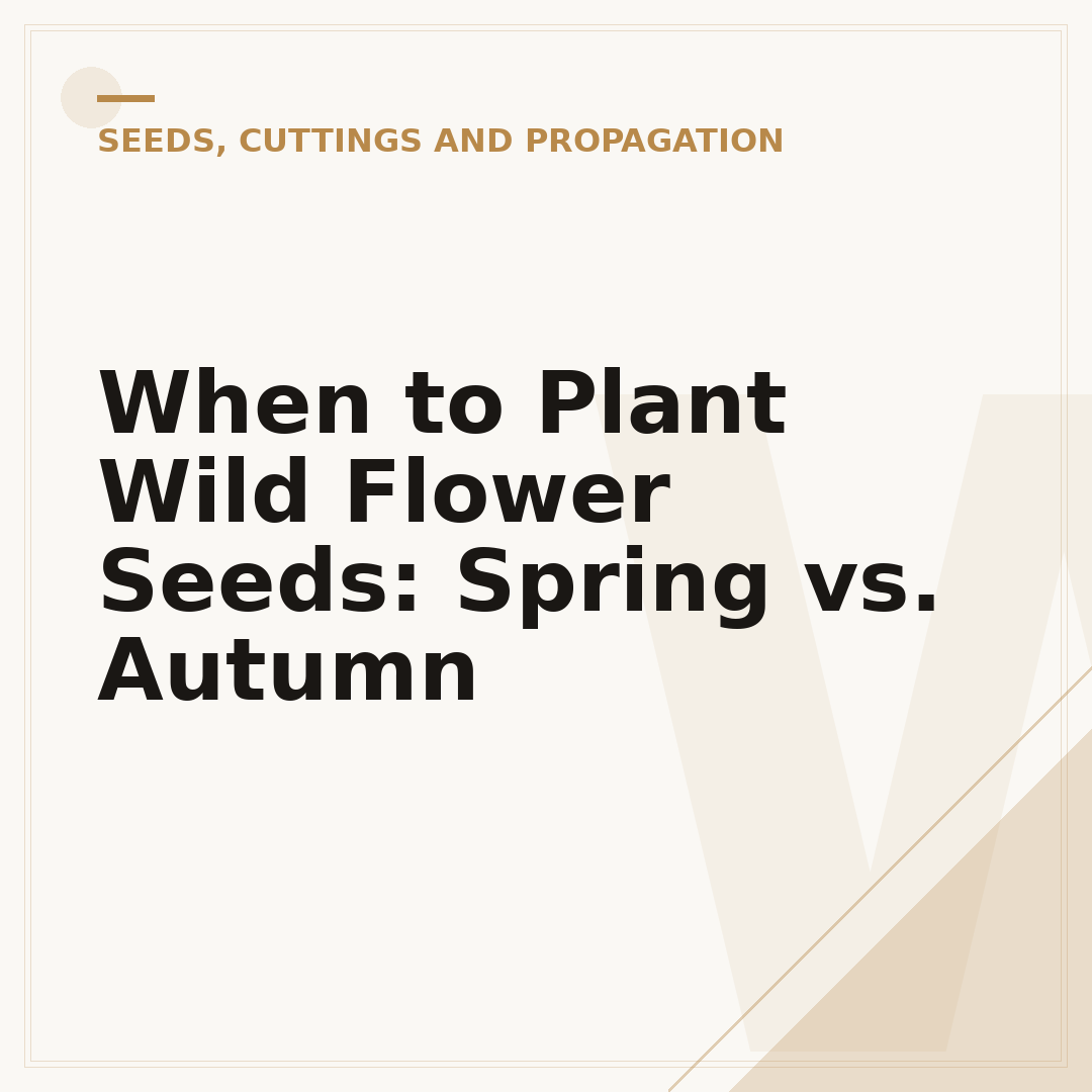 When to Plant Wild Flower Seeds: Spring vs. Autumn