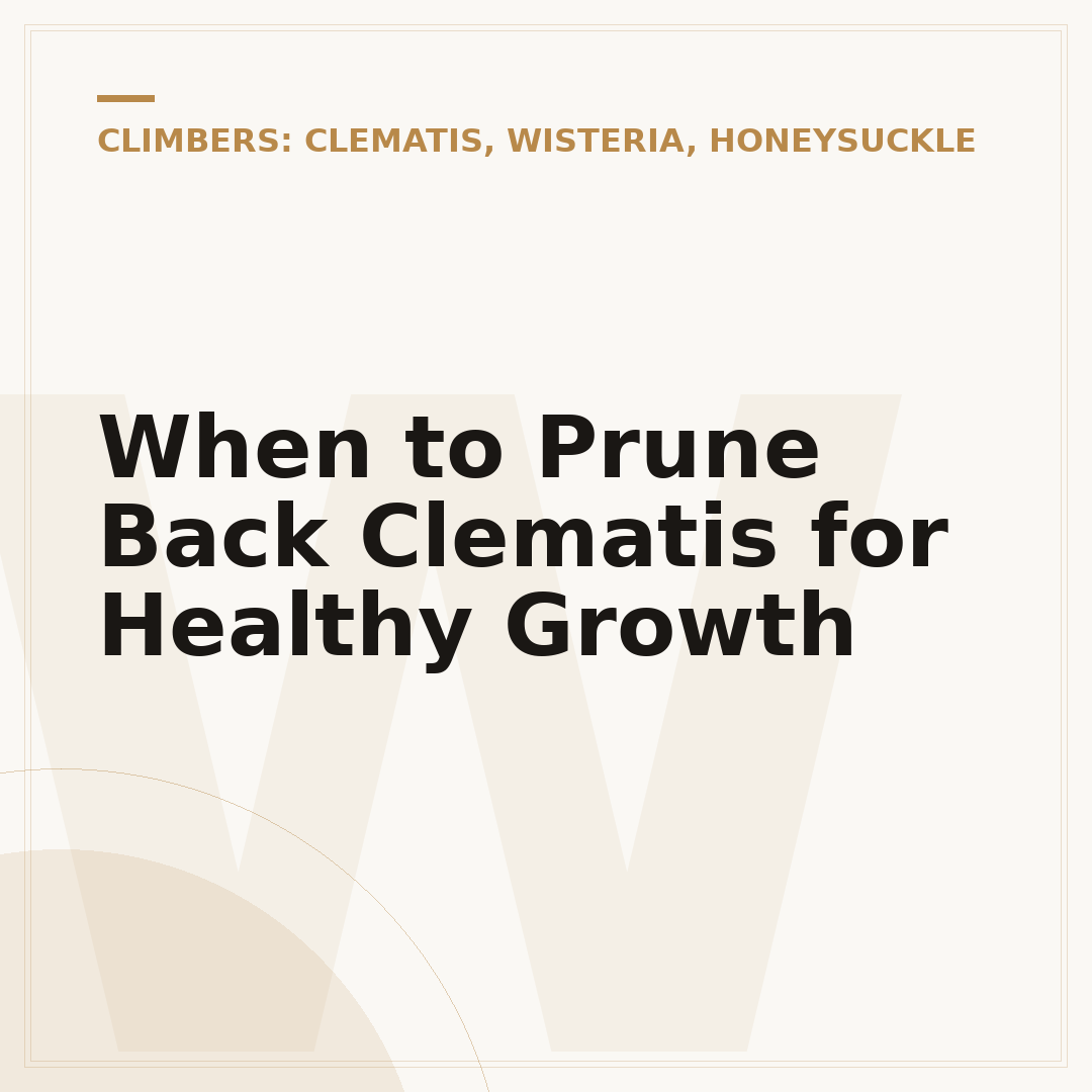 When to Prune Back Clematis for Healthy Growth