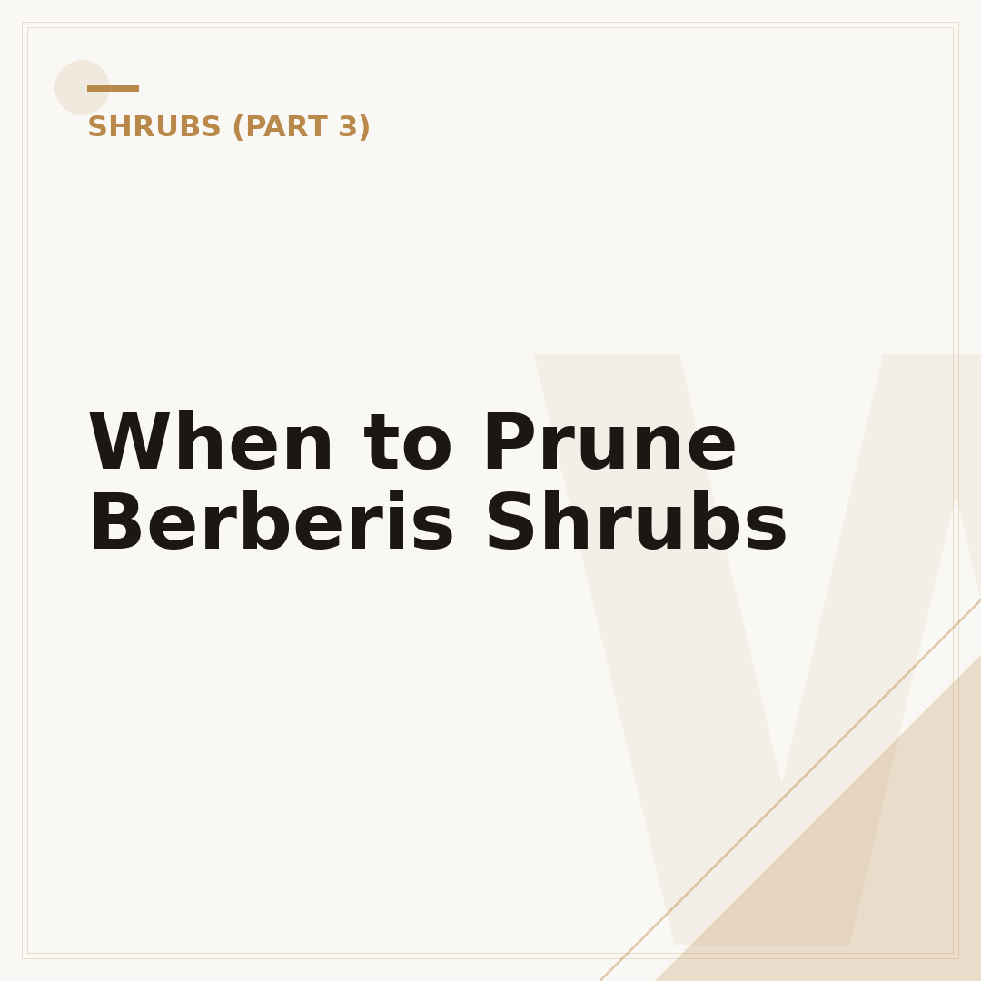 When to Prune Berberis Shrubs