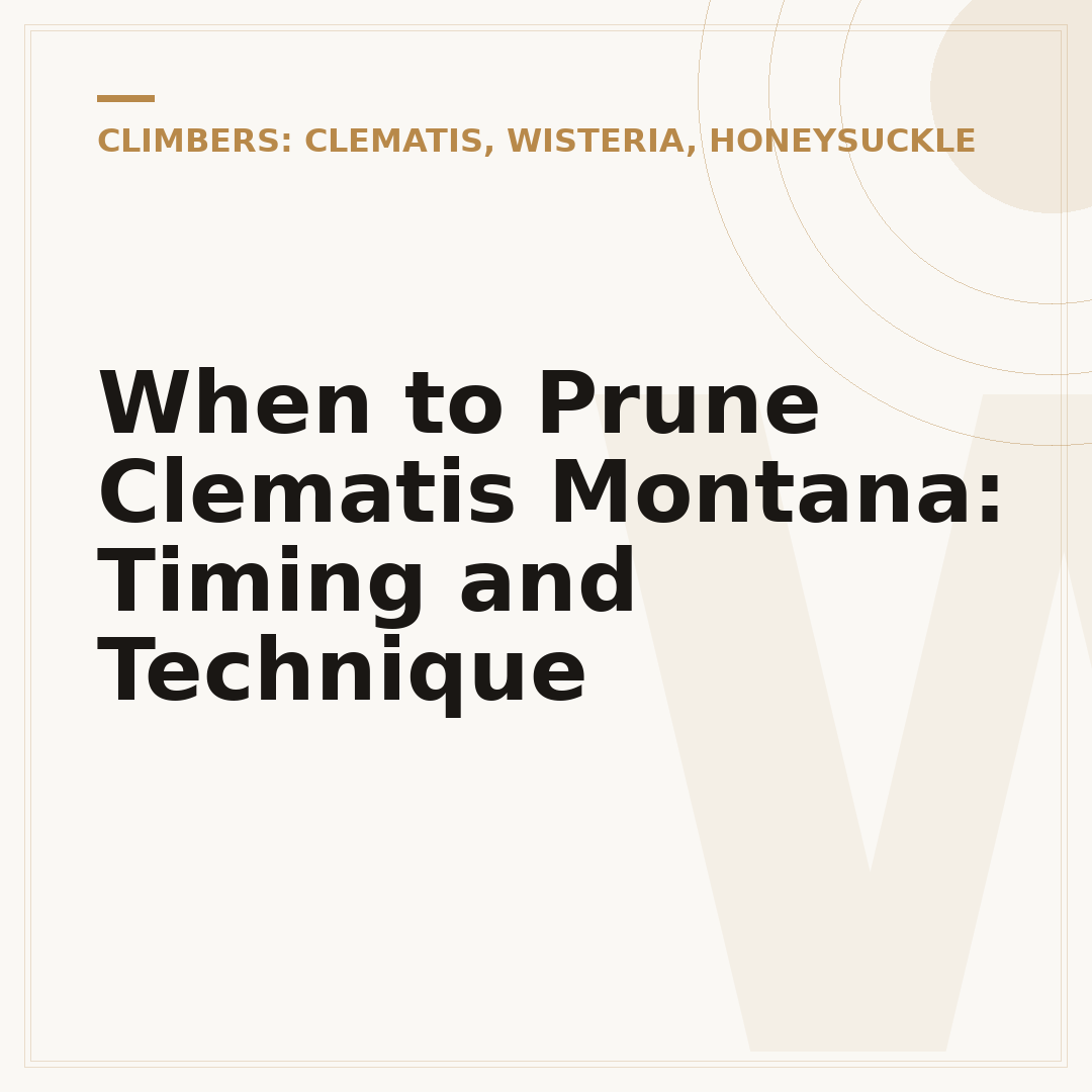 When to Prune Clematis Montana: Timing and Technique