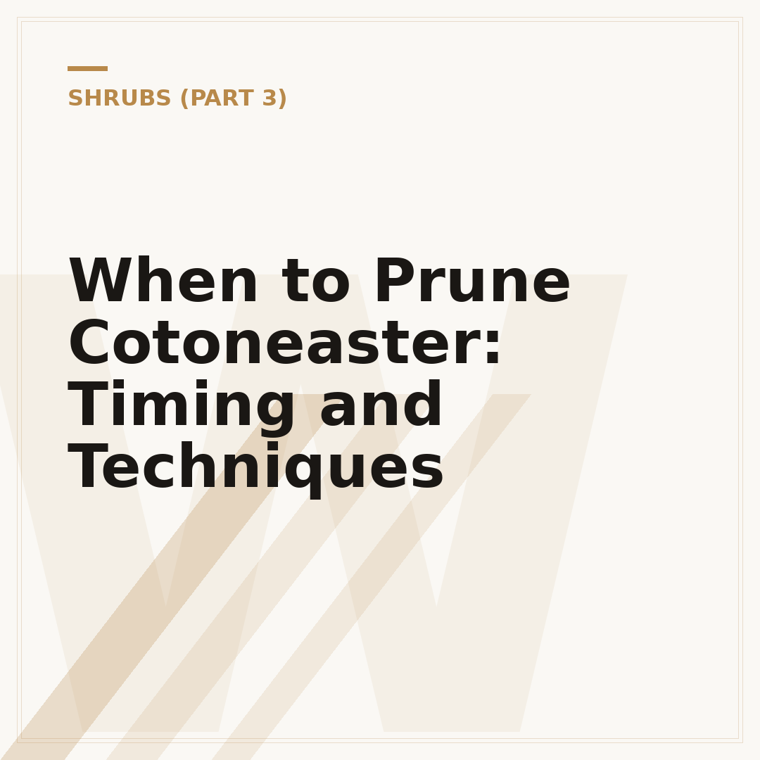 When to Prune Cotoneaster: Timing and Techniques