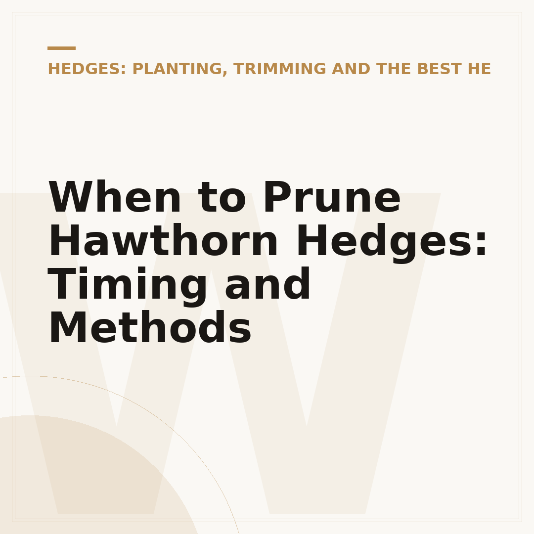 When to Prune Hawthorn Hedges: Timing and Methods