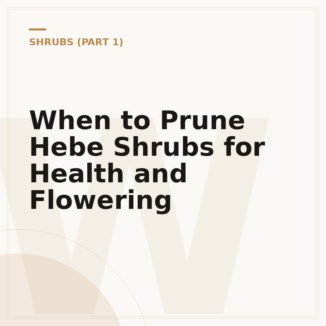 When to Prune Hebe Shrubs for Health and Flowering