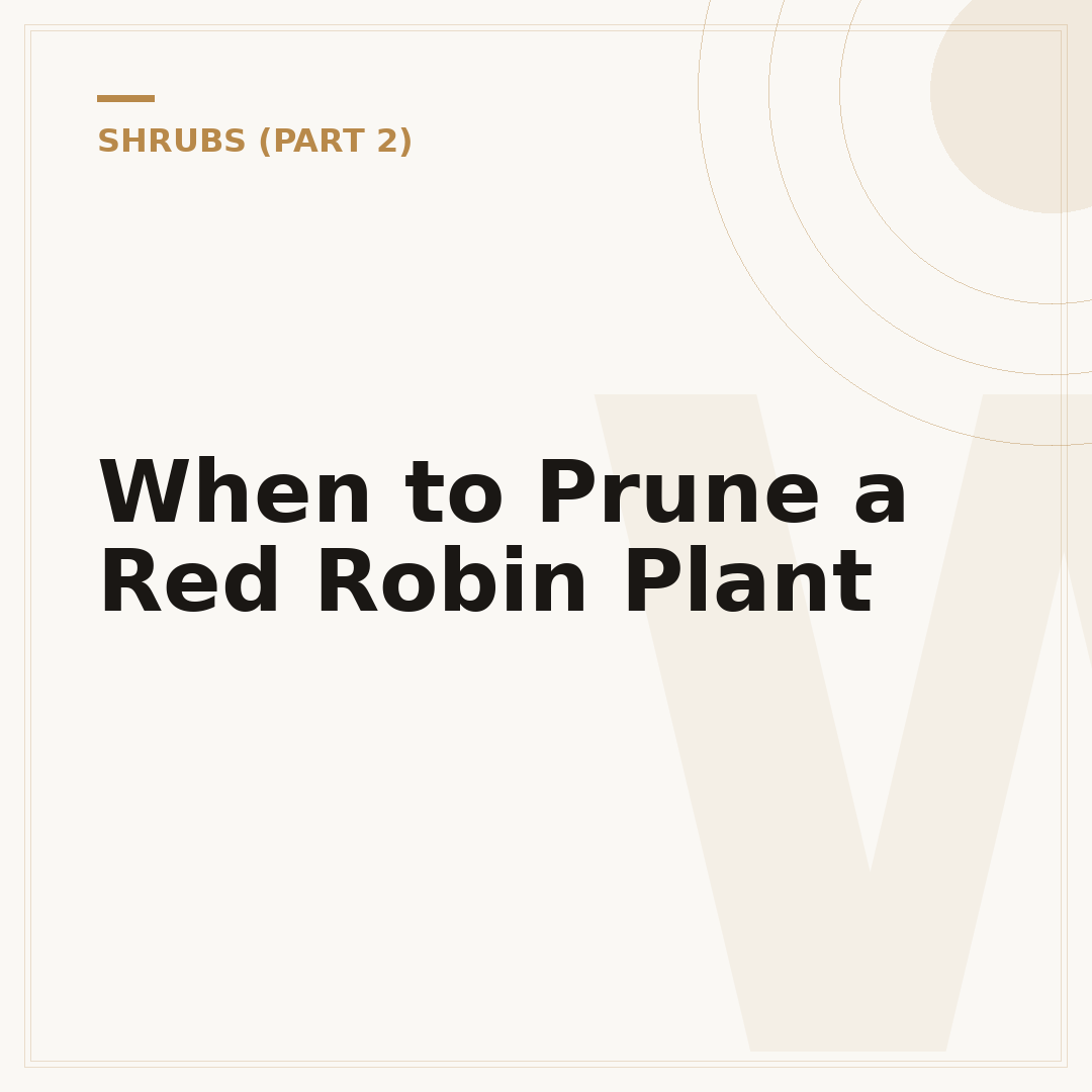 When to Prune a Red Robin Plant