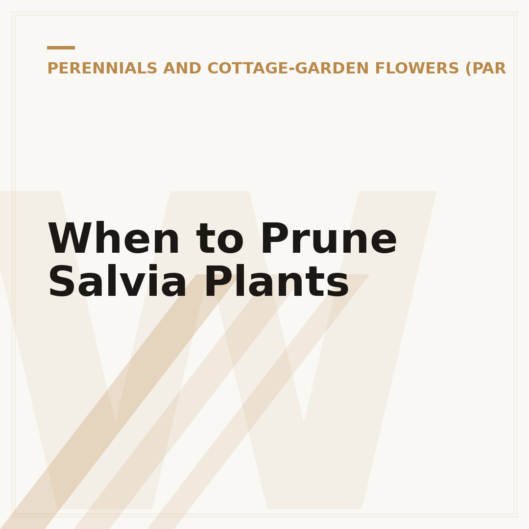 When to Prune Salvia Plants