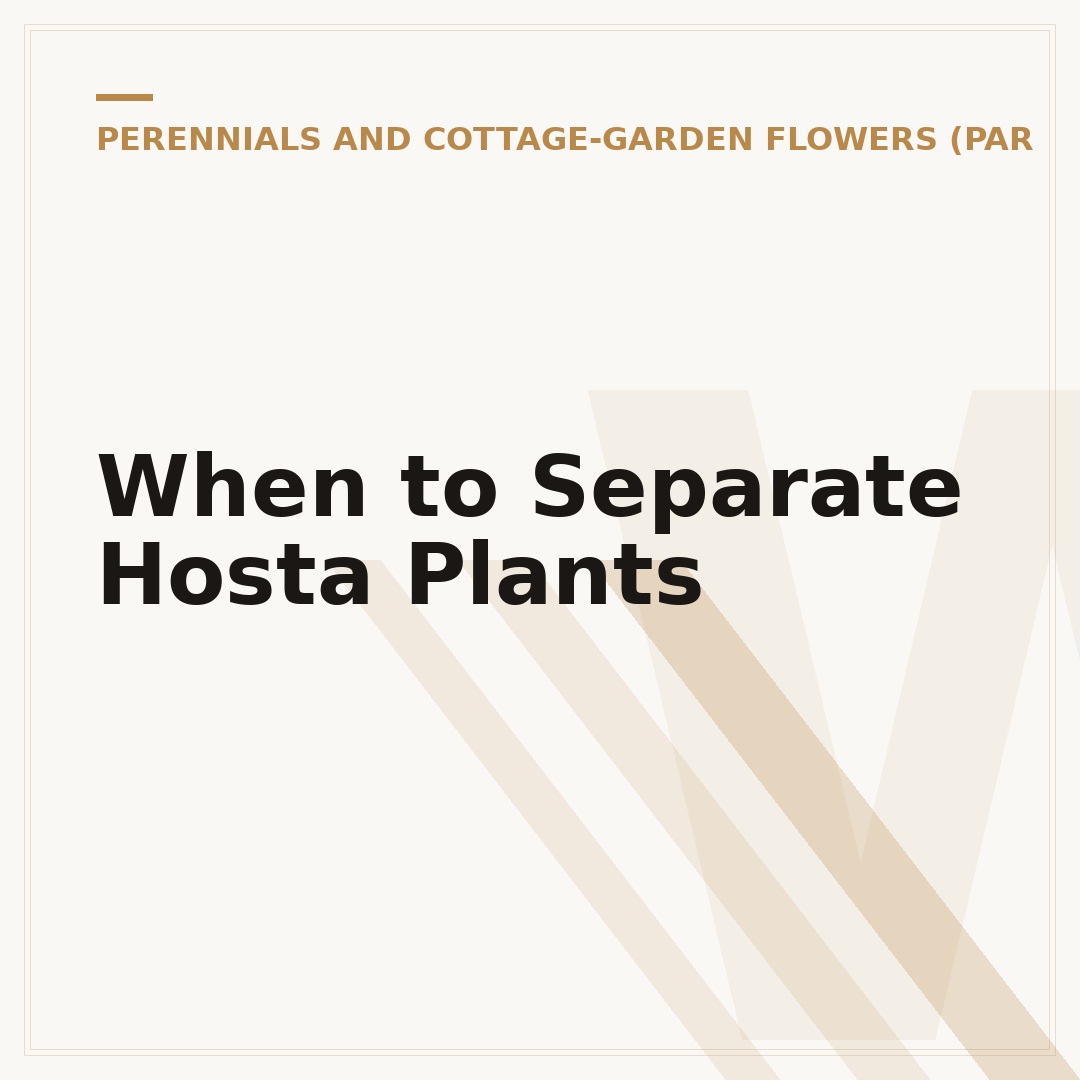When to Separate Hosta Plants