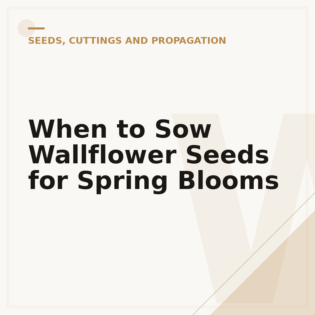 When to Sow Wallflower Seeds for Spring Blooms