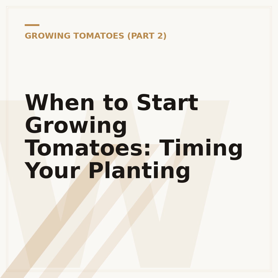 When to Start Growing Tomatoes: Timing Your Planting