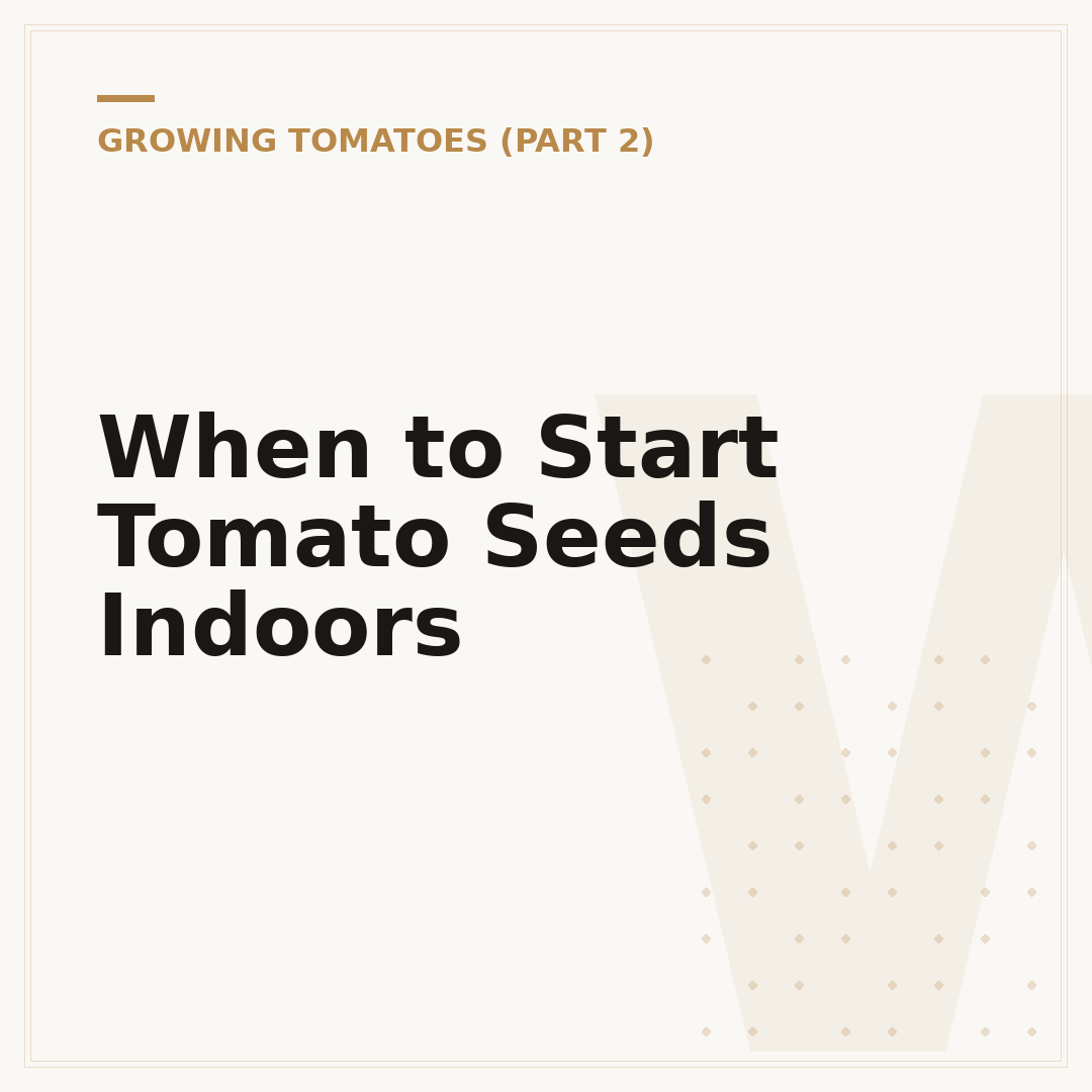 When to Start Tomato Seeds Indoors