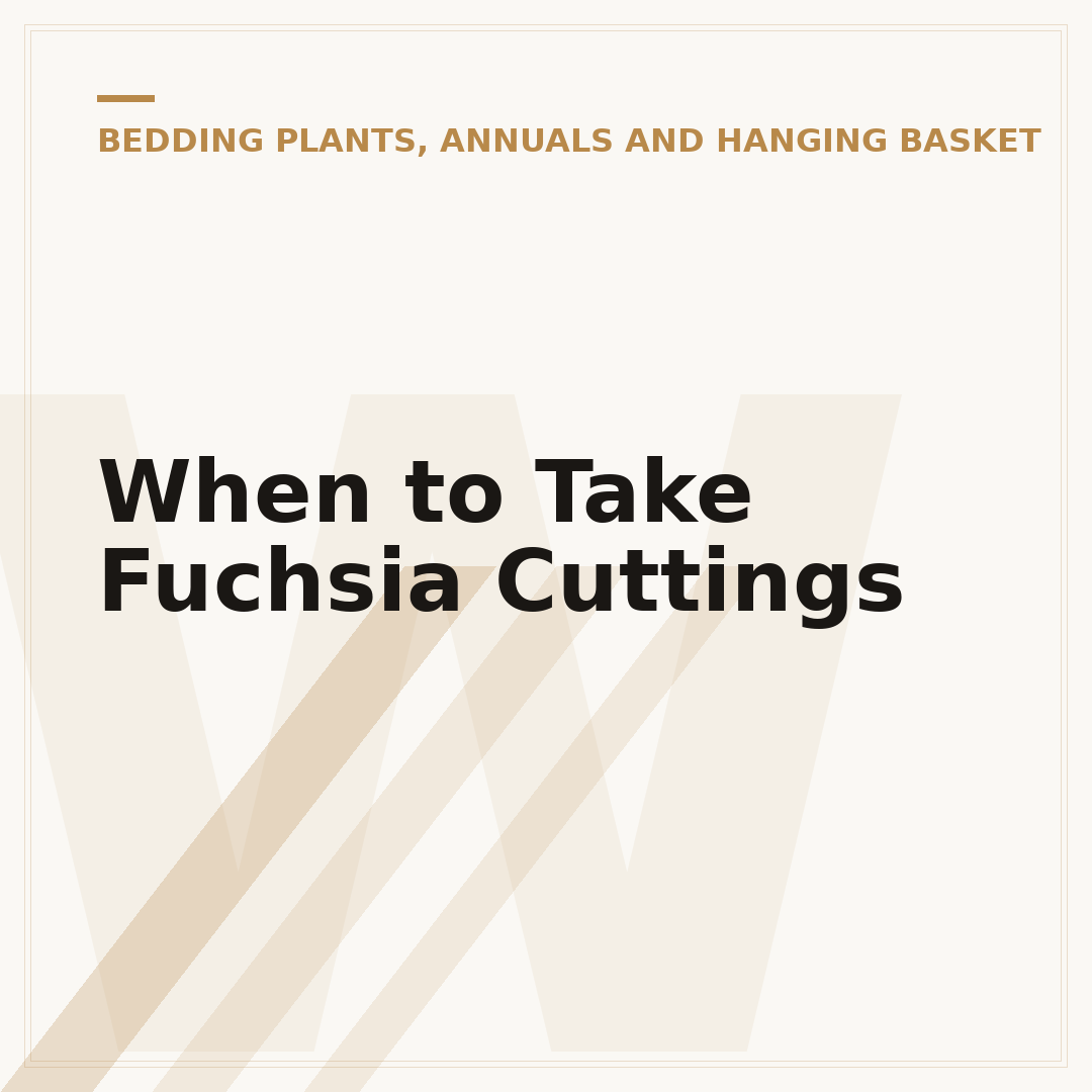 When to Take Fuchsia Cuttings