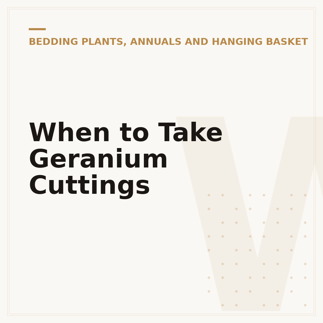 When to Take Geranium Cuttings