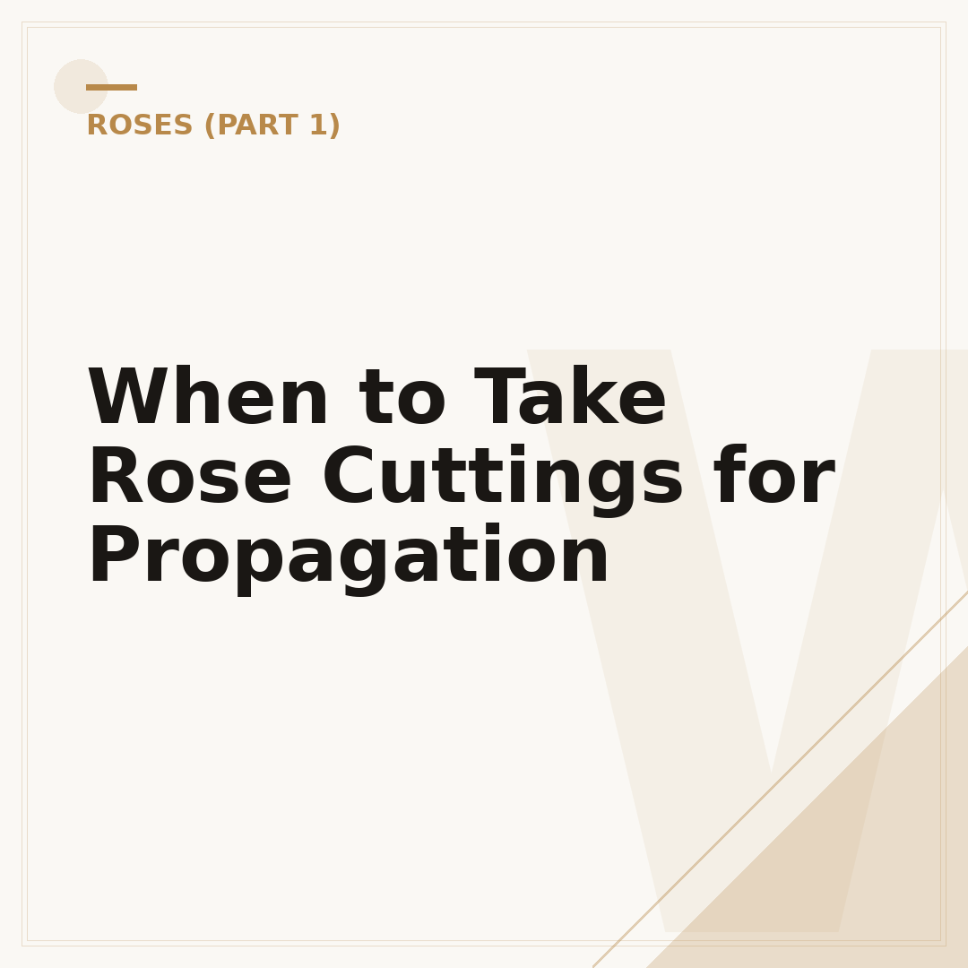 When to Take Rose Cuttings for Propagation