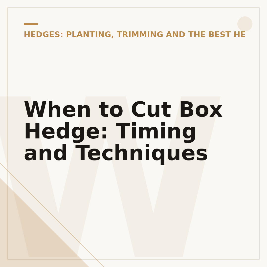 When to Cut Box Hedge: Timing and Techniques