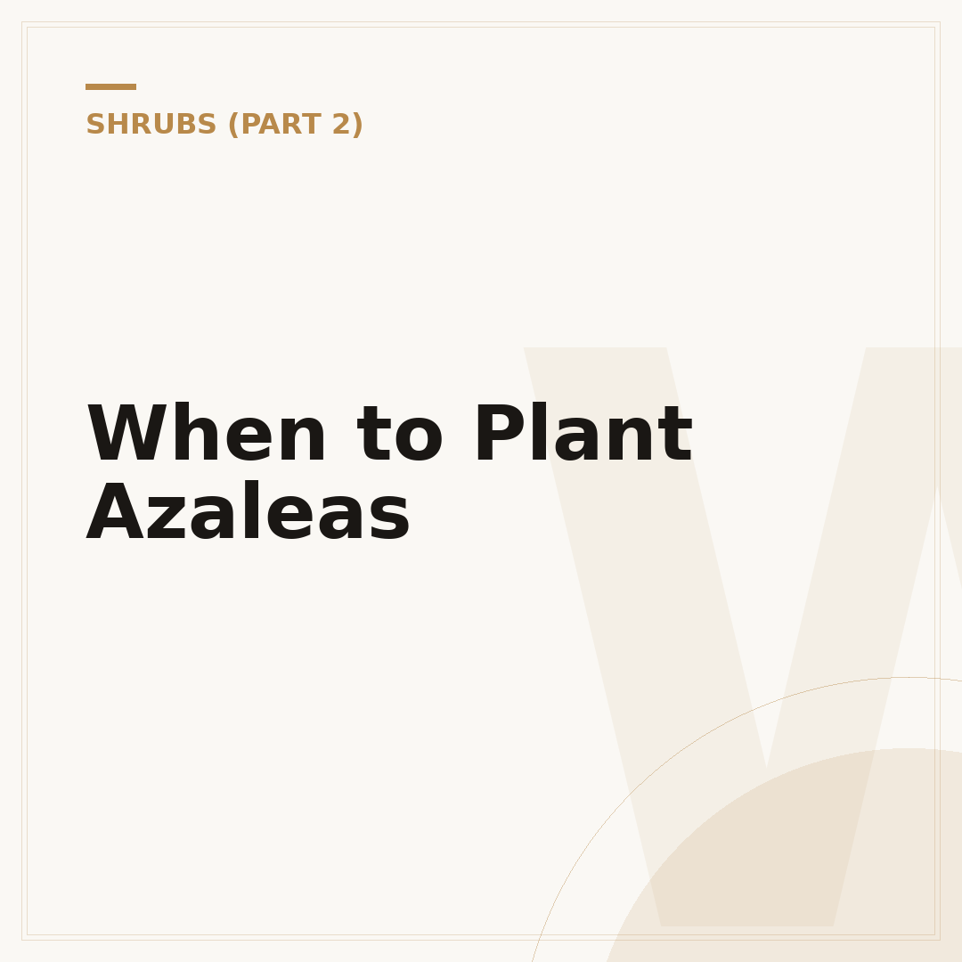 When to Plant Azaleas