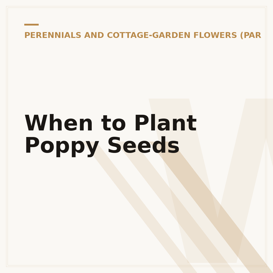 When to Plant Poppy Seeds