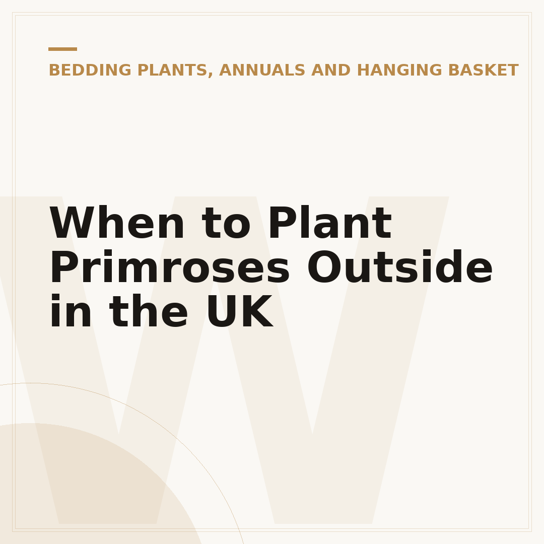 When to Plant Primroses Outside in the UK