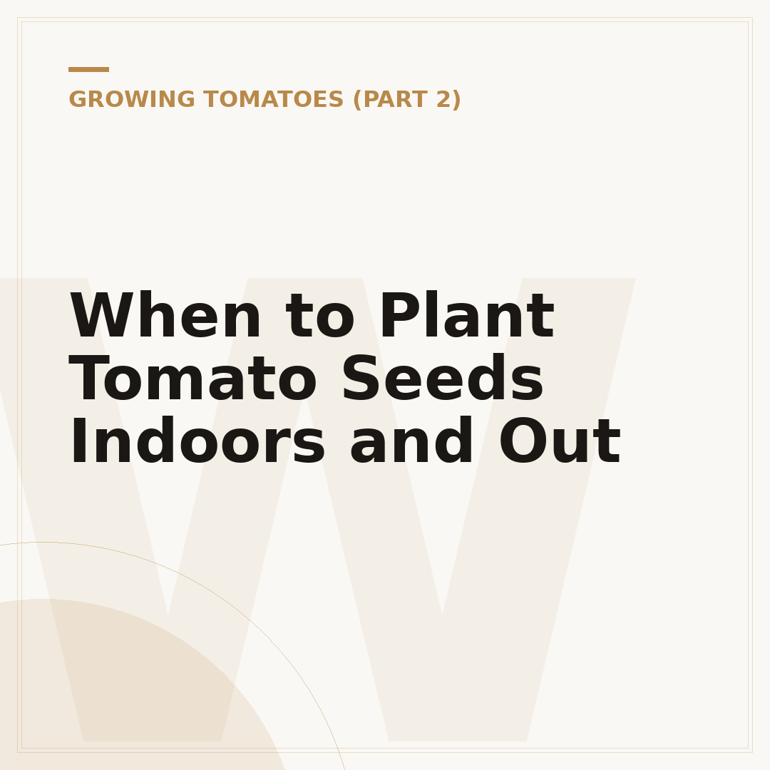 When to Plant Tomato Seeds Indoors and Out