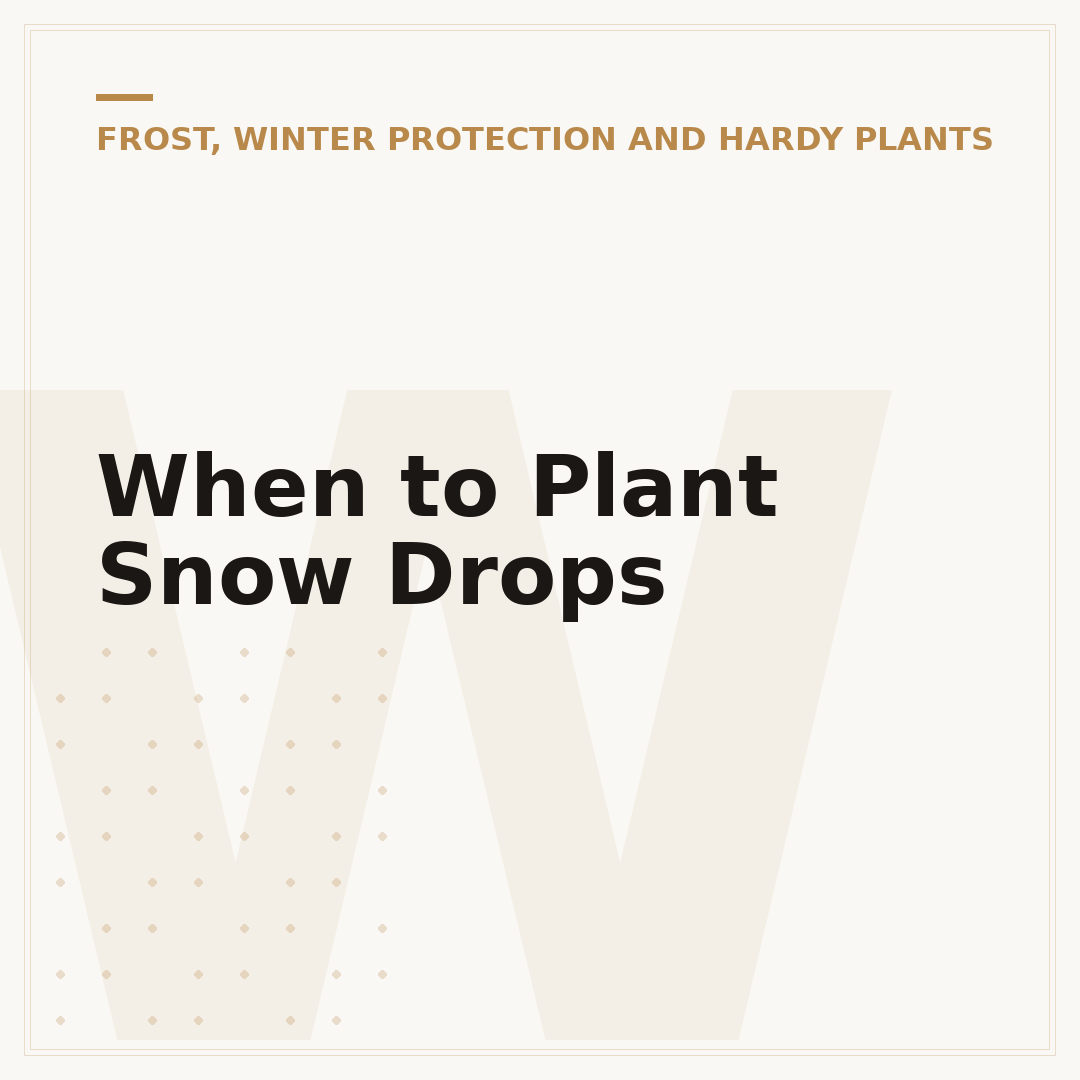When to Plant Snow Drops