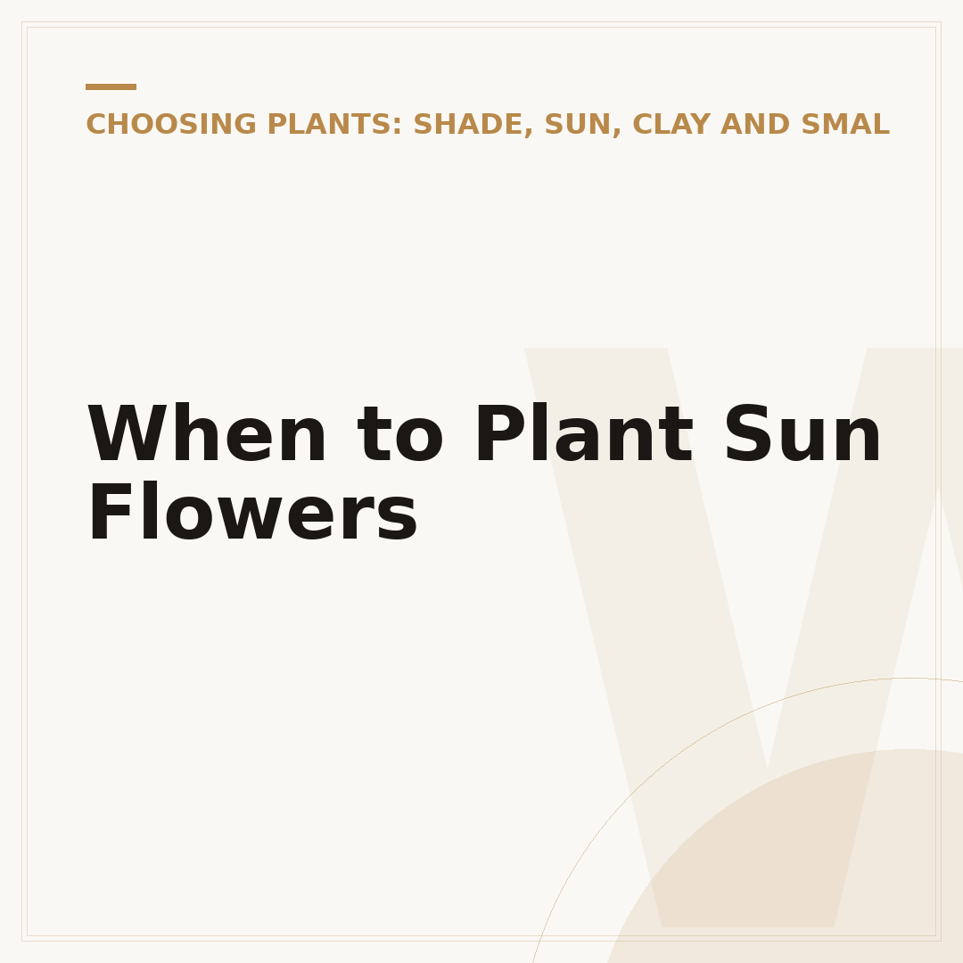 When to Plant Sun Flowers