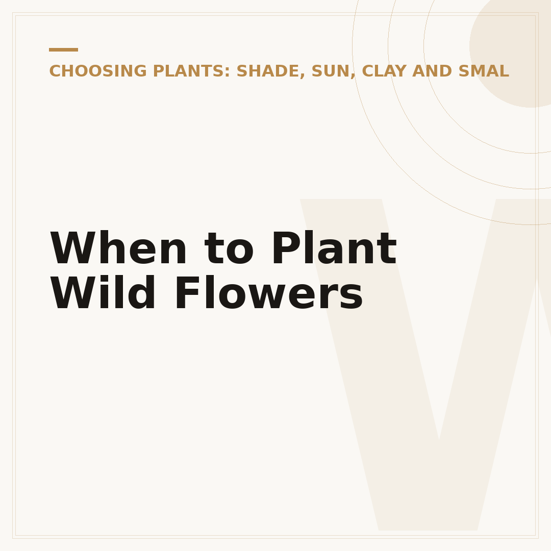 When to Plant Wild Flowers
