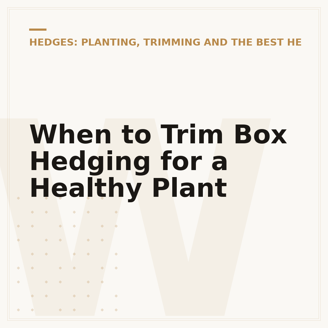 When to Trim Box Hedging for a Healthy Plant