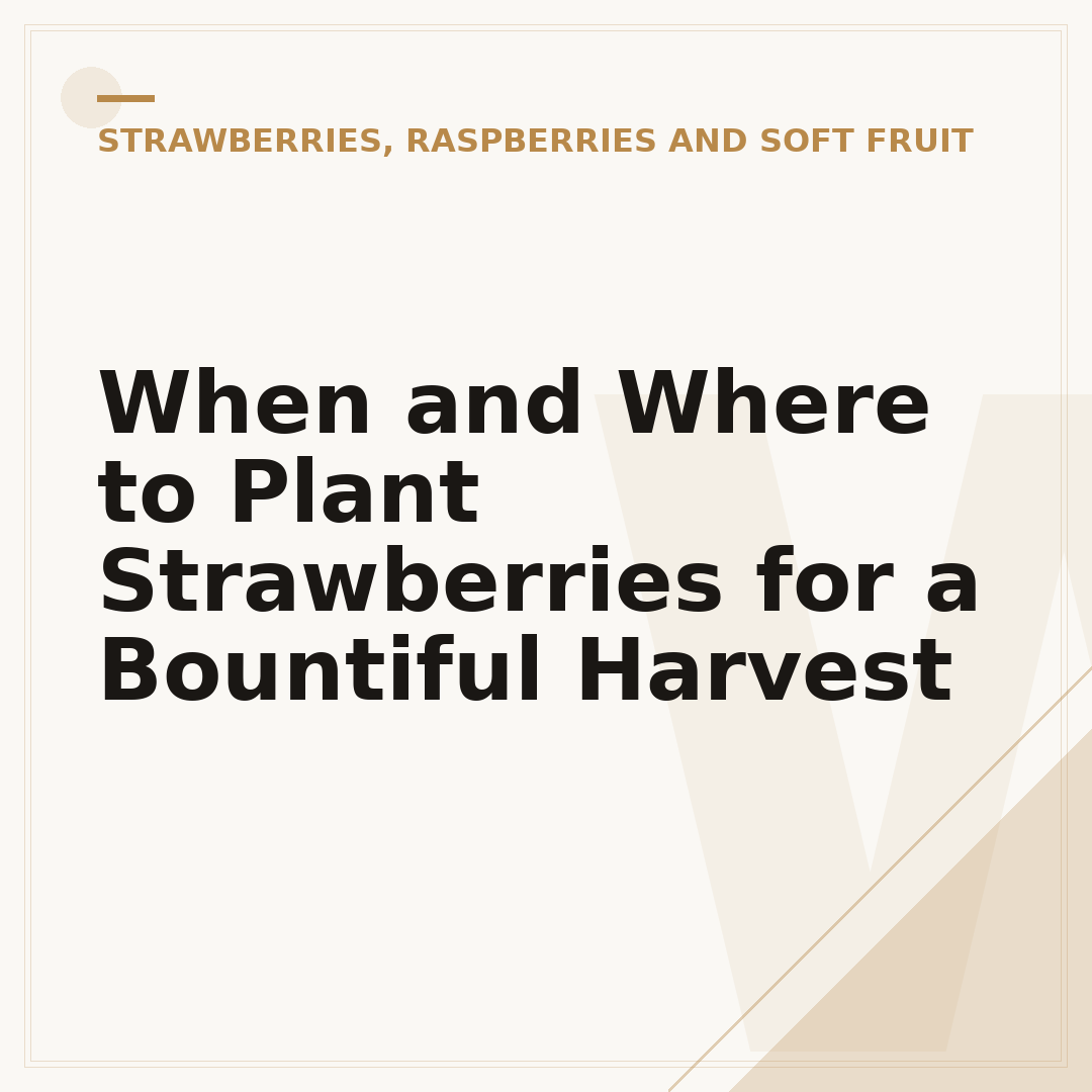 When and Where to Plant Strawberries for a Bountiful Harvest