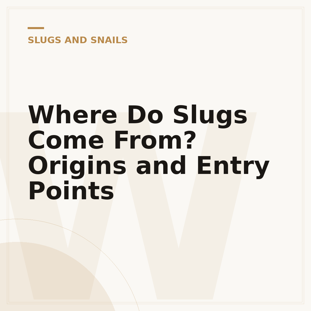Where Do Slugs Come From? Origins and Entry Points