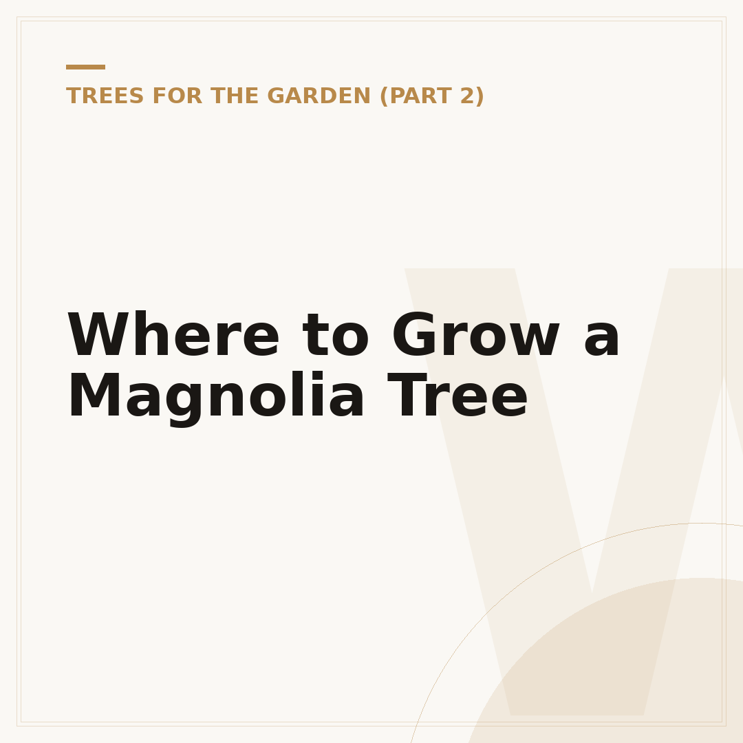 Where to Grow a Magnolia Tree