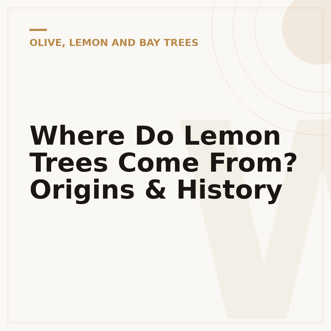 Where Do Lemon Trees Come From? Origins & History