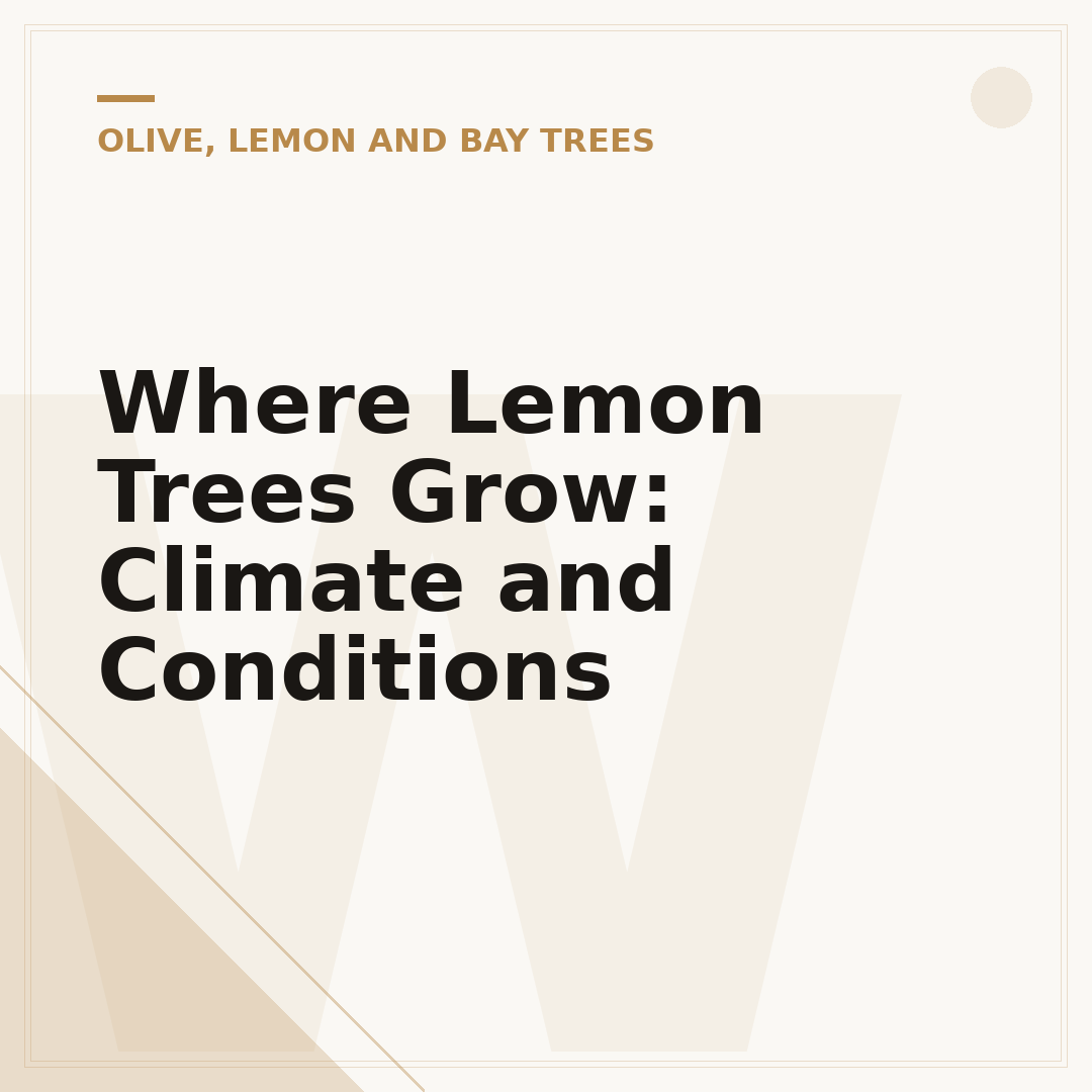 Where Lemon Trees Grow: Climate and Conditions