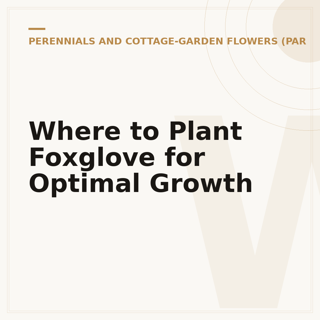 Where to Plant Foxglove for Optimal Growth