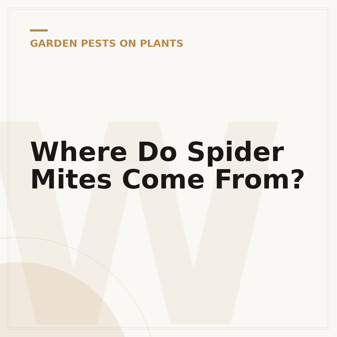 Where Do Spider Mites Come From?