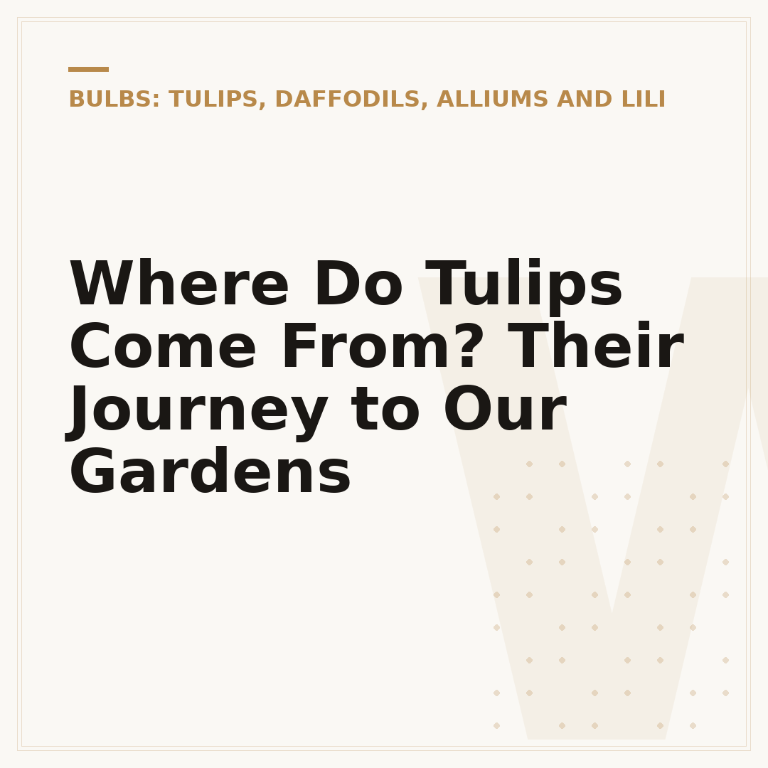 Where Do Tulips Come From? Their Journey to Our Gardens