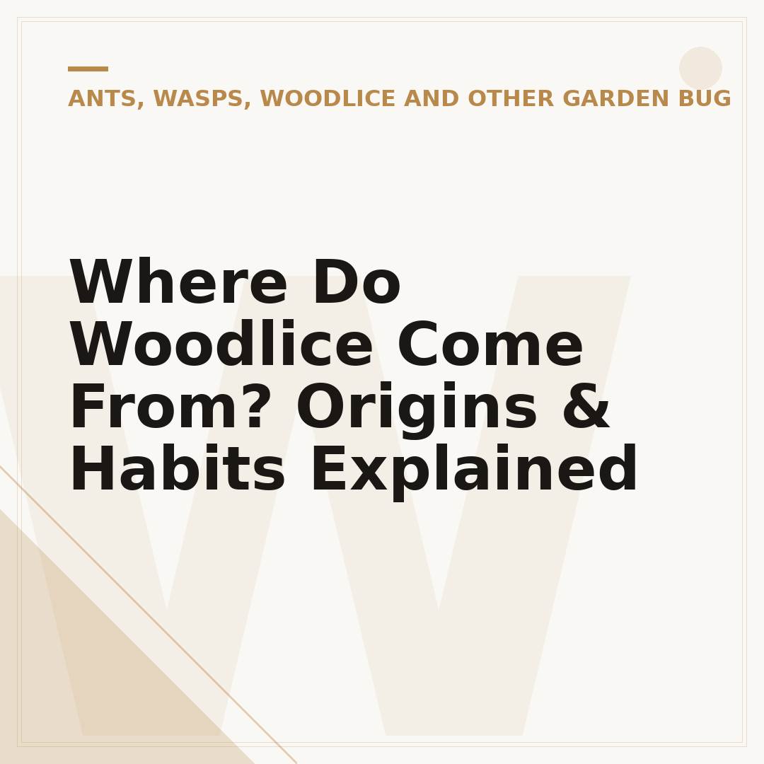 Where Do Woodlice Come From? Origins & Habits Explained