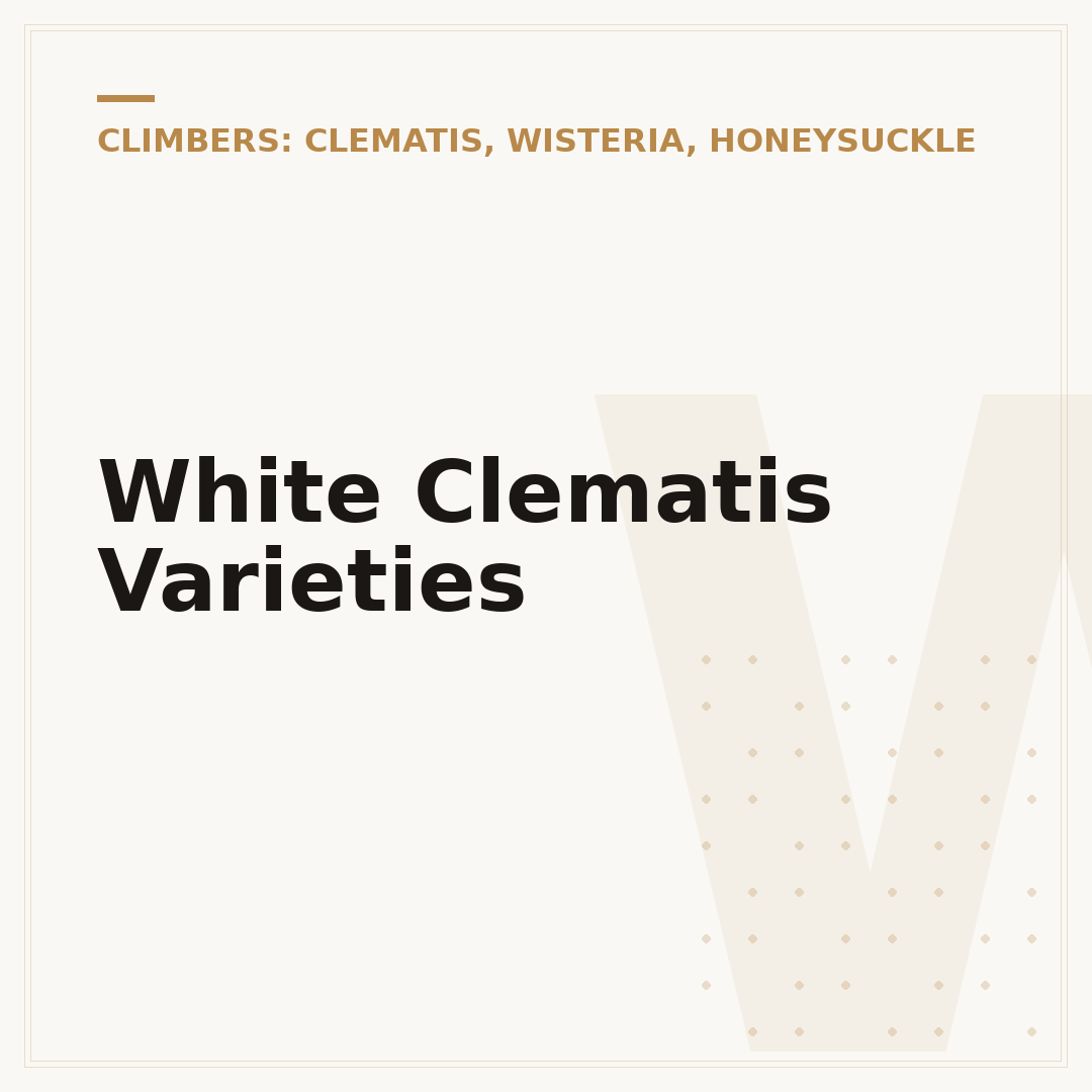 White Clematis Varieties