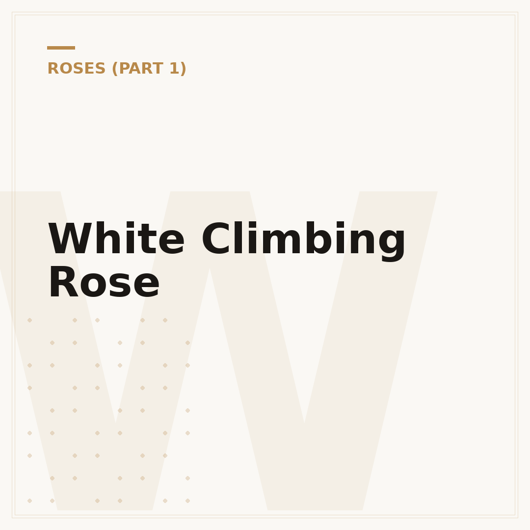 White Climbing Rose