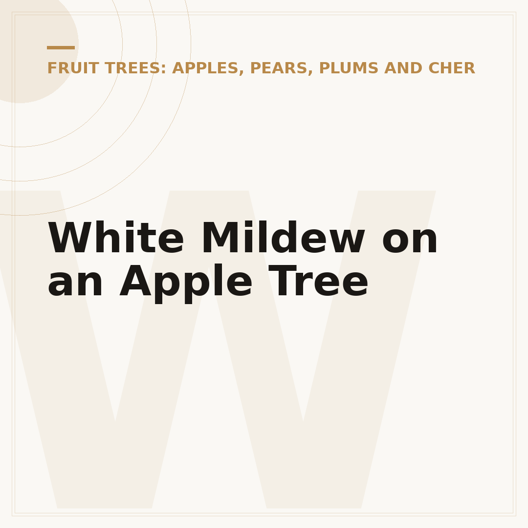 White Mildew on an Apple Tree
